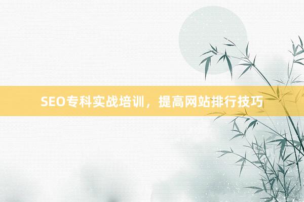 SEO专科实战培训，提高网站排行技巧